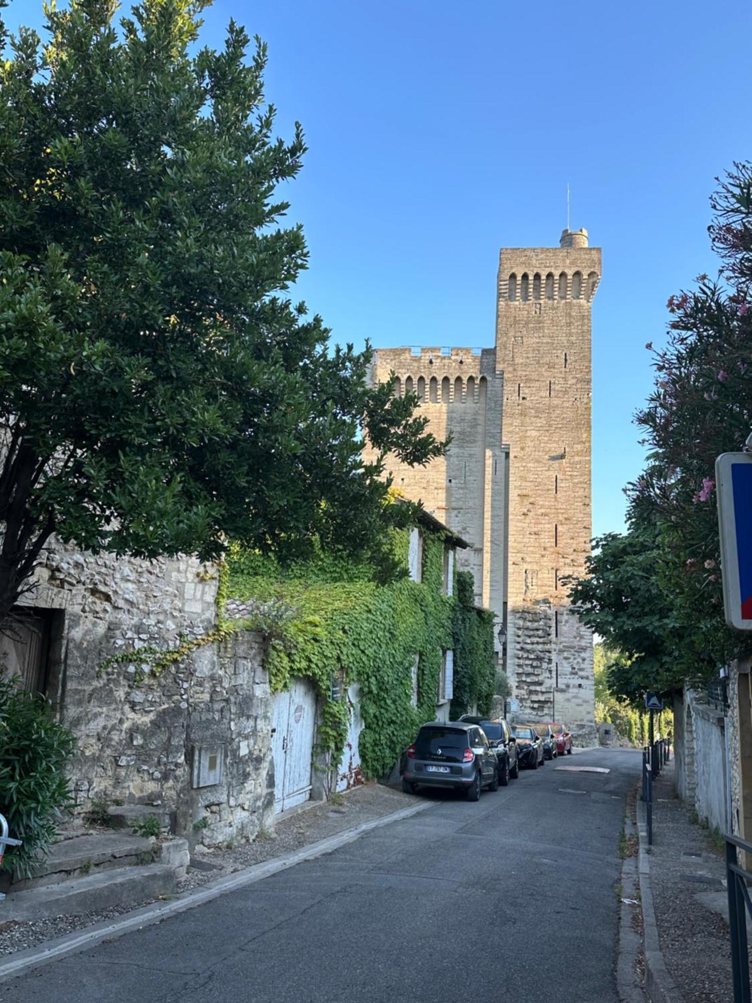 Charmante Petite Maison Avec Vue Panoramique, En Centre Historique, Proche D'Avignon, Ancienne, Renovee, Climatisee, Terrasse, Parking Public Gratuit Villeneuve-lès-Avignon Eksteriør bilde