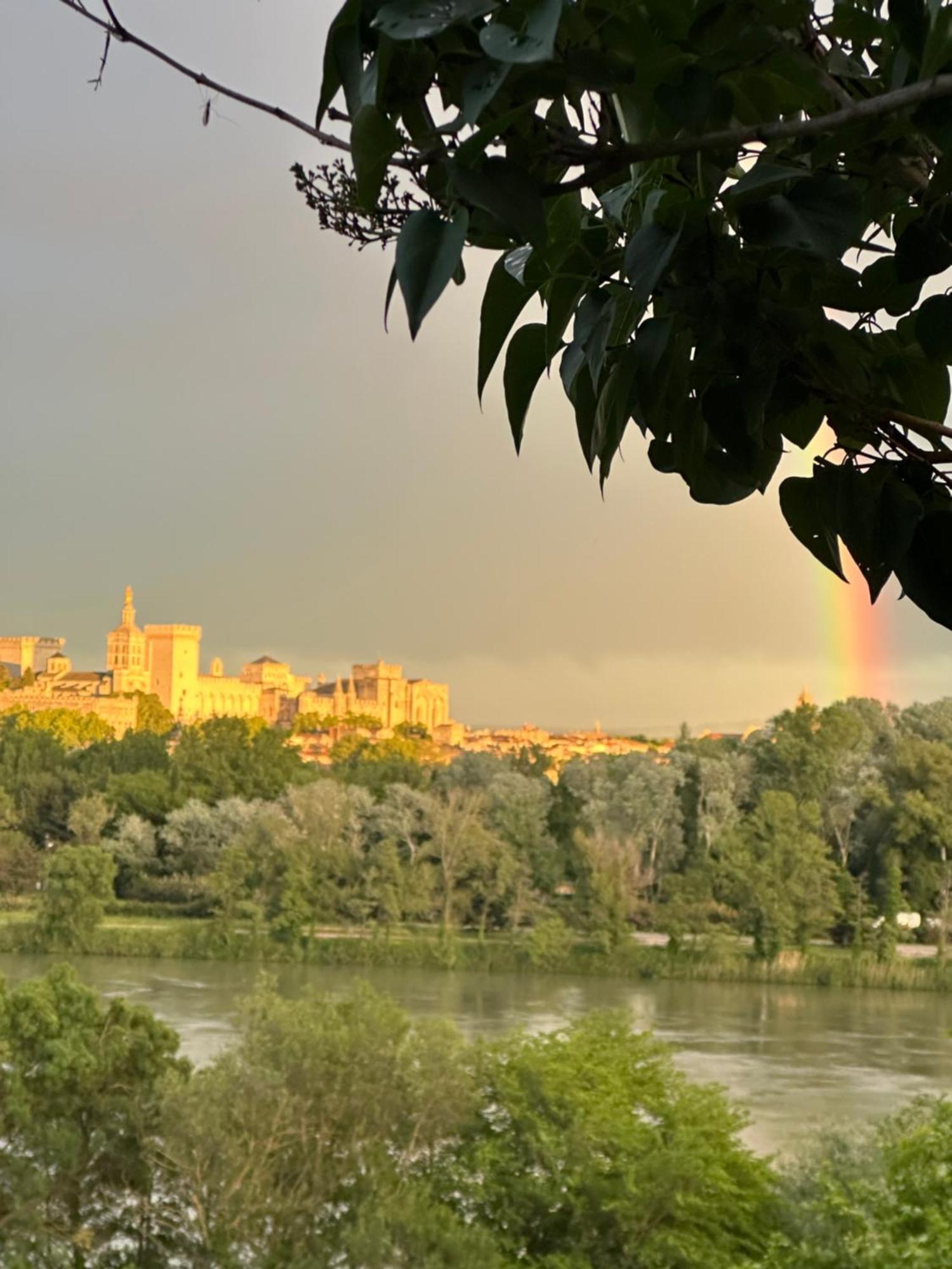 Charmante Petite Maison Avec Vue Panoramique, En Centre Historique, Proche D'Avignon, Ancienne, Renovee, Climatisee, Terrasse, Parking Public Gratuit Villeneuve-lès-Avignon Eksteriør bilde